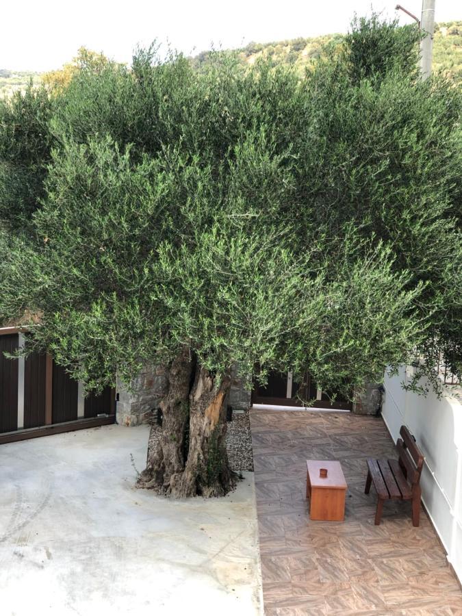 Villa Creta Galini House à Sirílion Extérieur photo