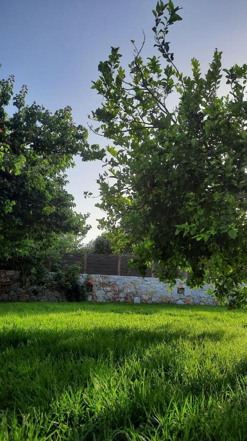 Villa Creta Galini House à Sirílion Extérieur photo