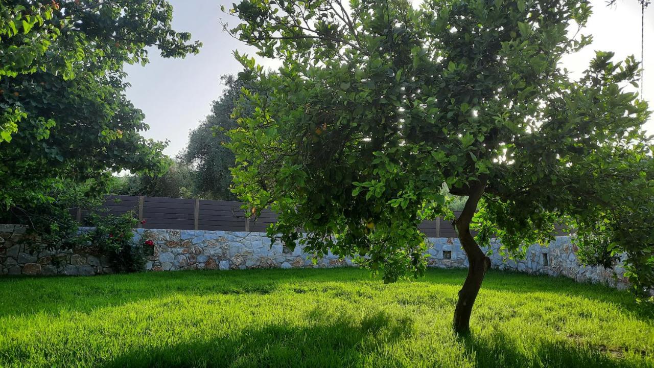 Villa Creta Galini House à Sirílion Extérieur photo